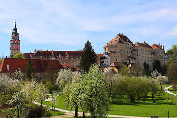 Bayerischer Wald